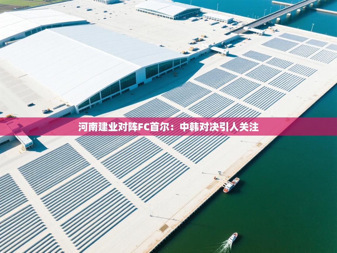 河南建业对阵FC首尔：中韩对决引人关注  第2张