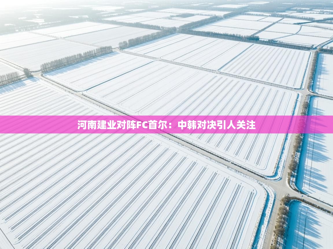 河南建业对阵FC首尔：中韩对决引人关注  第1张