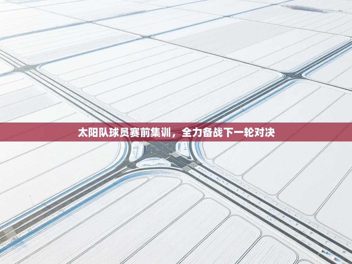 太阳队球员赛前集训，全力备战下一轮对决  第1张