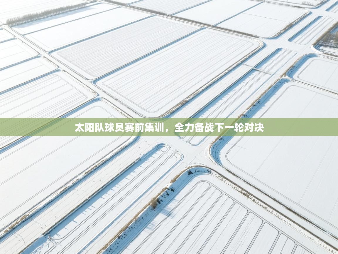 太阳队球员赛前集训，全力备战下一轮对决  第2张