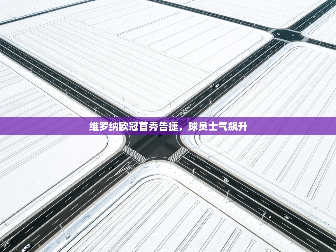 维罗纳欧冠首秀告捷，球员士气飙升  第2张