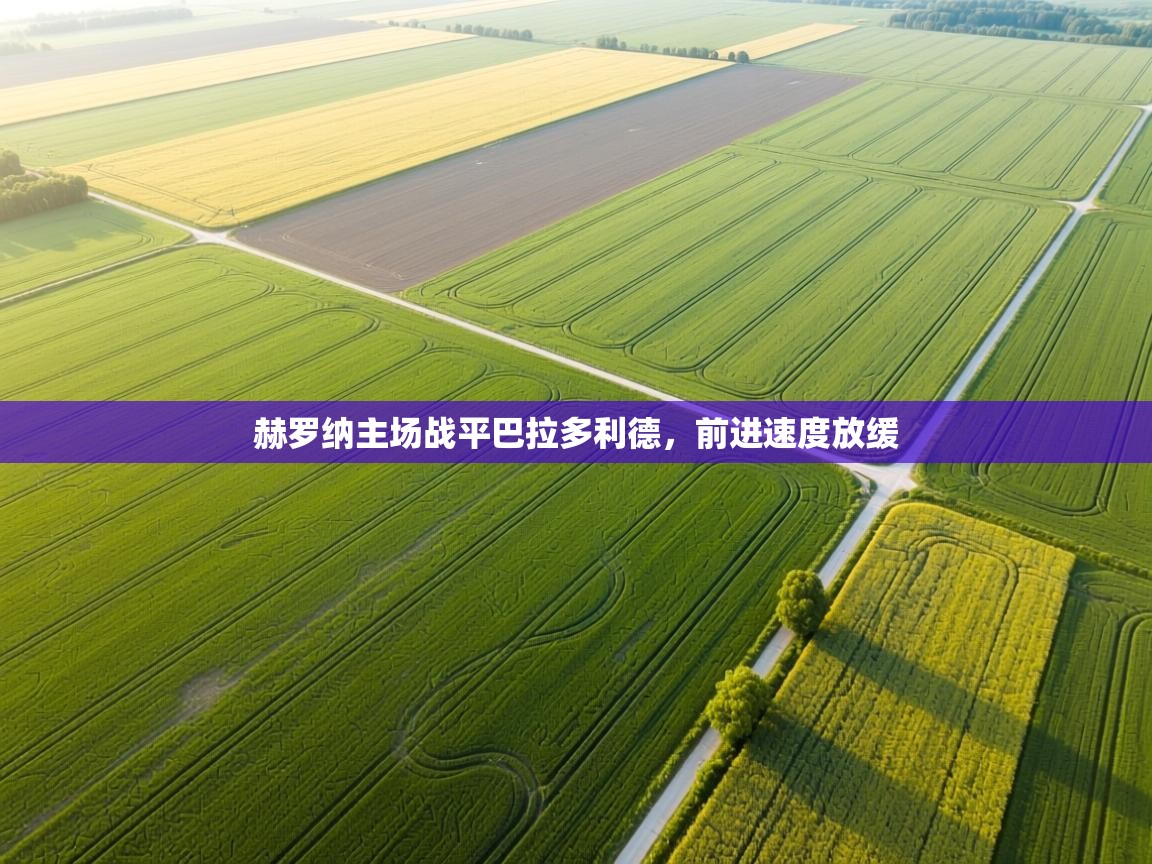 赫罗纳主场战平巴拉多利德，前进速度放缓